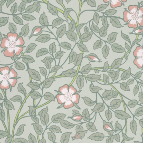 Briar Rose - Salix