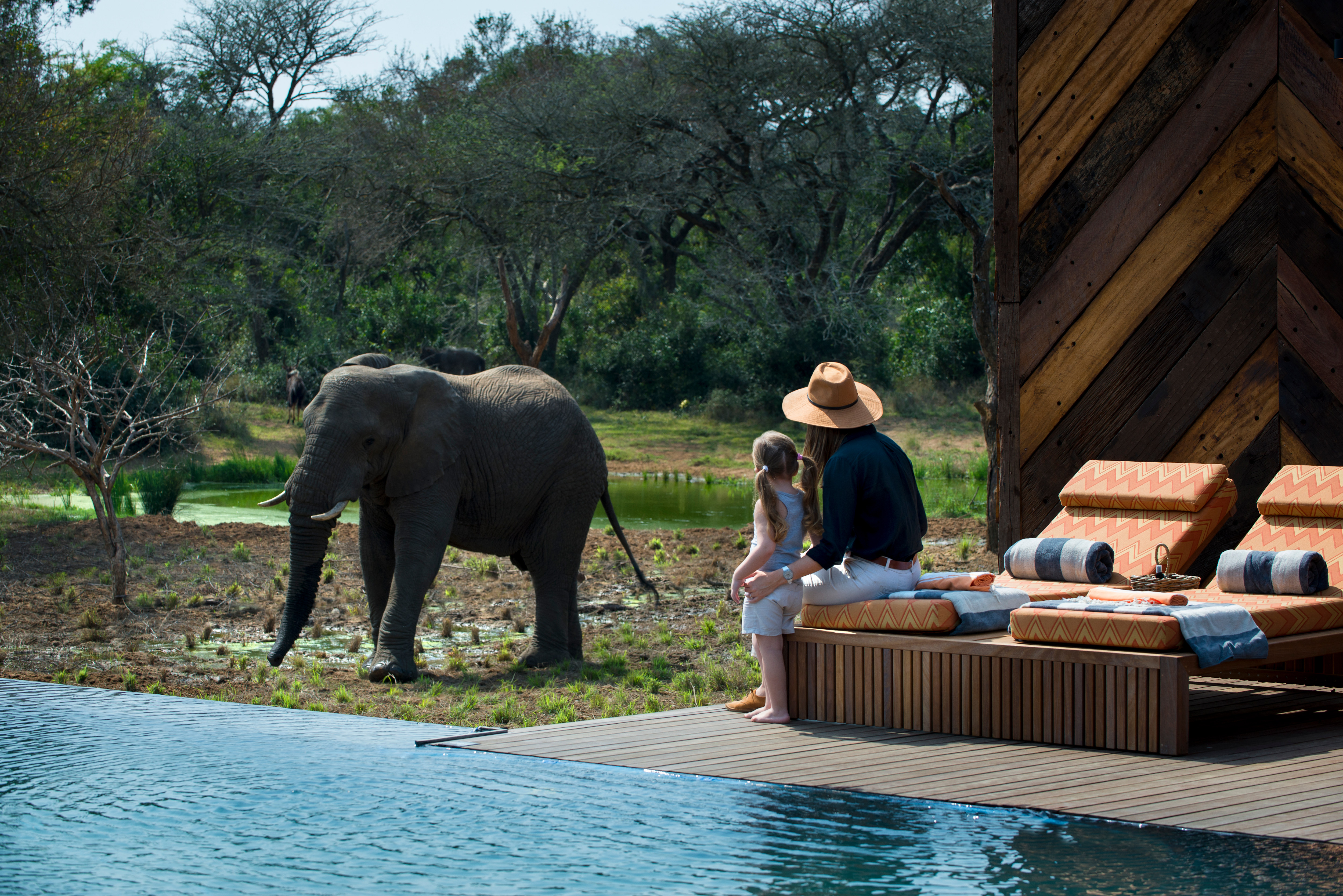 A woman and child watch an elephant at &amp;amp;Beyond Phinda Homestead