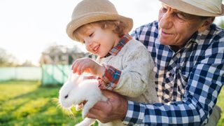 Boy petting rabbit