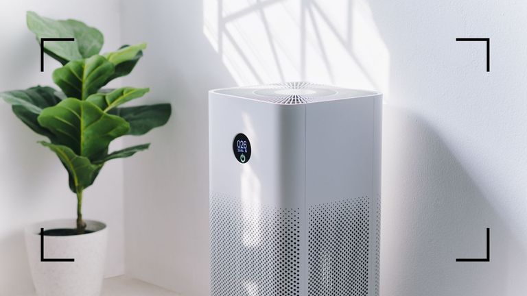 an air purifier in a white room next to a plant purifying air—one of the biggest air purifier benefits