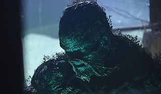 swamp thing in a cabin dc universe show