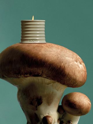 Loewe Mushroom scented candle