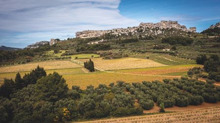 vineyards, olive groves and limestone outcrops at Mas Sainte Berthe