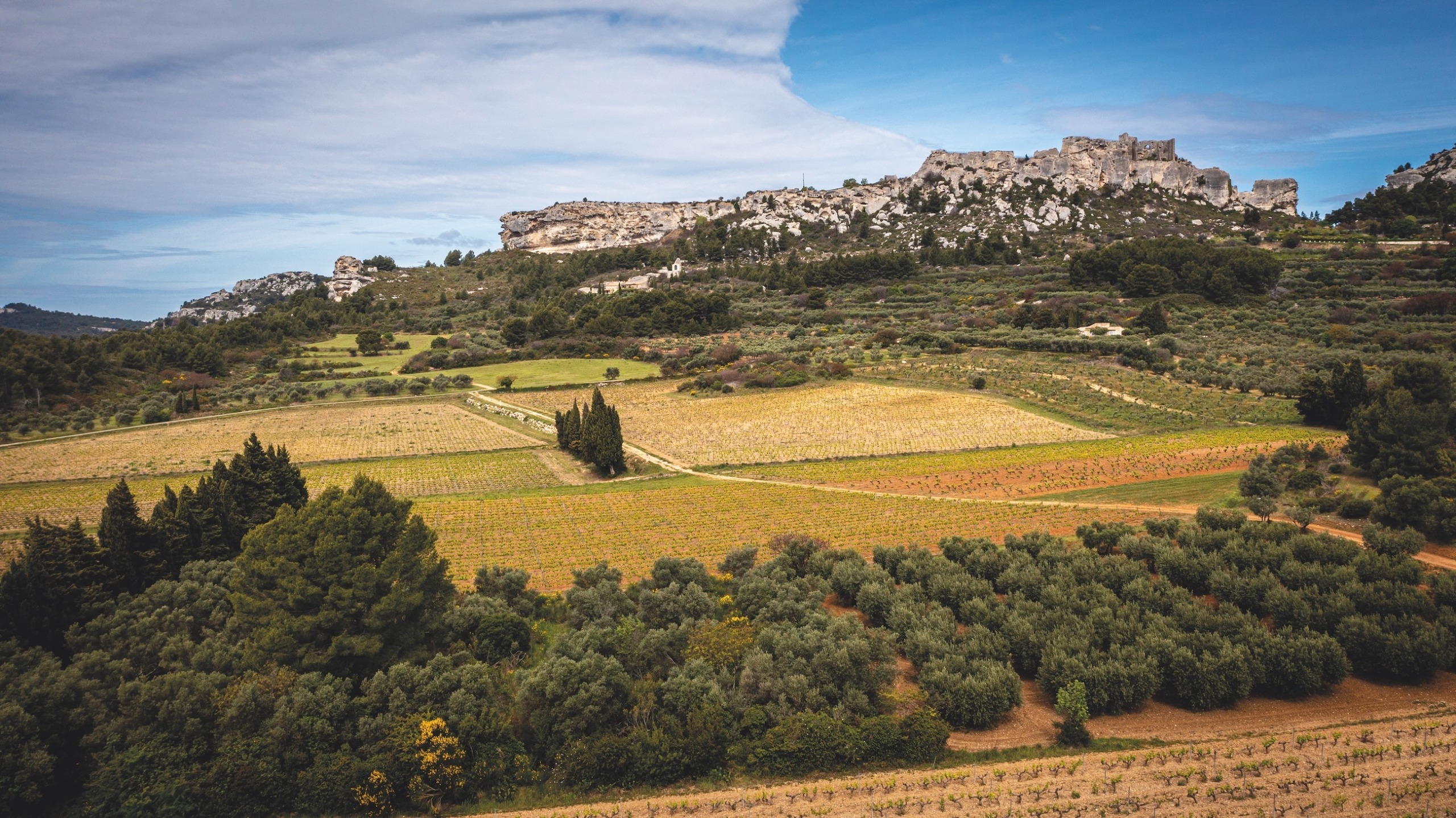 vineyards, olive groves and limestone outcrops at Mas Sainte Berthe