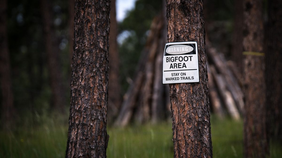 More than 10,000 reports describe forest sightings in the continental U.S. of an unknown apelike creature that is frequently referred to as &quot;Bigfoot.&quot;