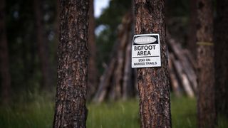 A big boost from Bigfoot: A small town in Oregon finds thousands