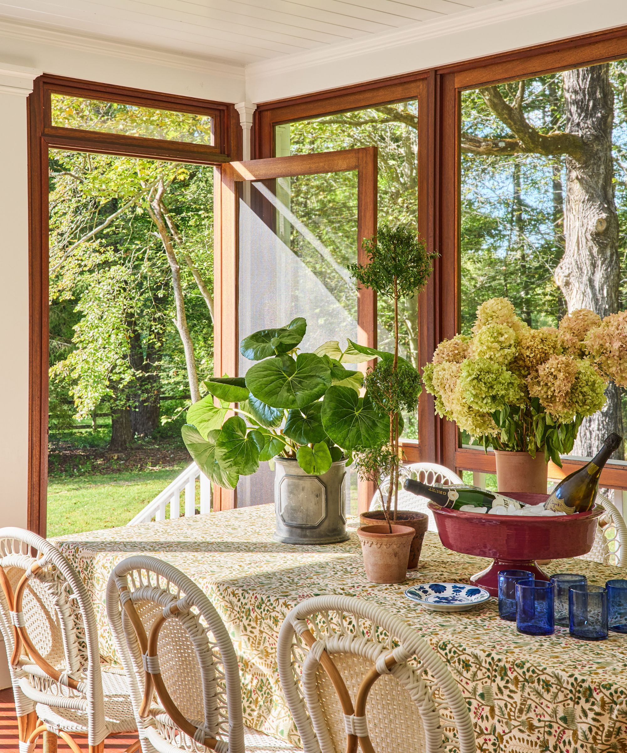 Conservatory with large glass windows looking out onto garden, a dining table decorated with a floral tablecloth, planters, hydrangeas, blue glasses and white wicker chairs tucked underneath.