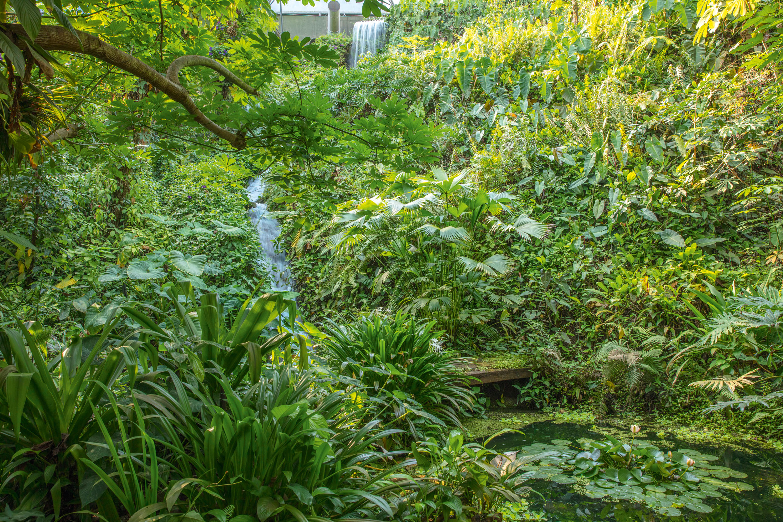 The Eden Project in Cornwall