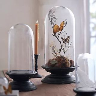 Glass cloche with distressed pedestal base