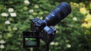 Nikon Z8 camera, pictured against a background of blurred green foliage