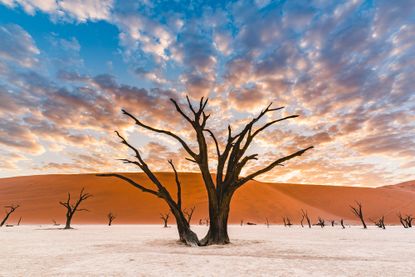 Namibia is one of the best places to avoid Christmas