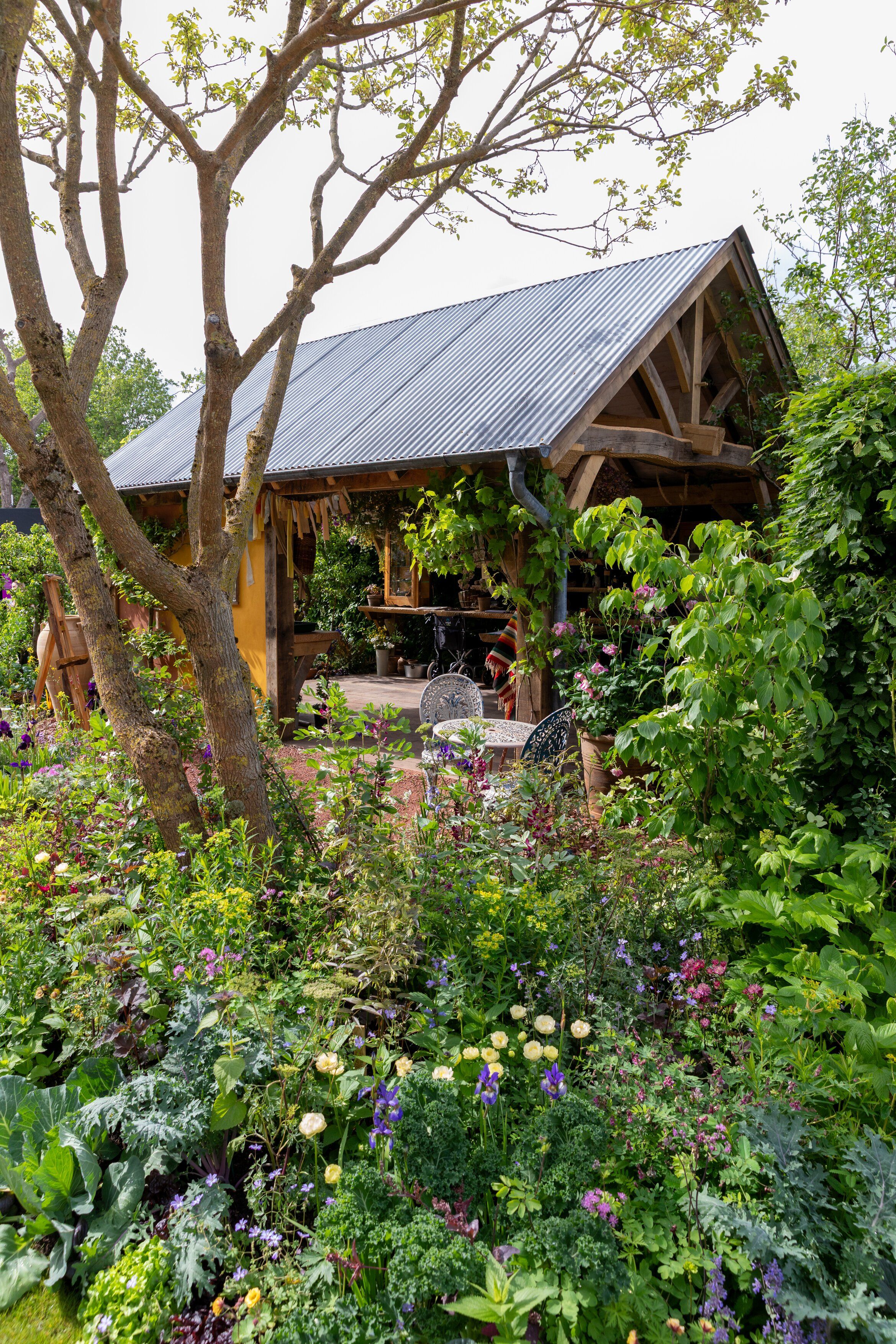 Close up and details of the King's Garden at RHS Chelsea, showing the planting and the central oak structure