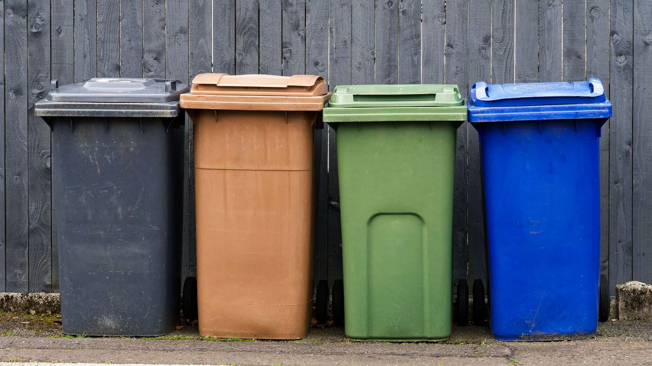 Wheelie bins in a row of four in different colours outside a fence