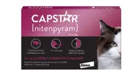 Capstar flea treatment for cats