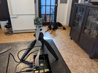 Raspberry Pi Pet Detector