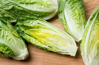 romaine, lettuce