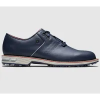FootJoy Premiere Series Flint Golf Shoe | 25% off at FootJoy
Was $199.99 Now $149.95