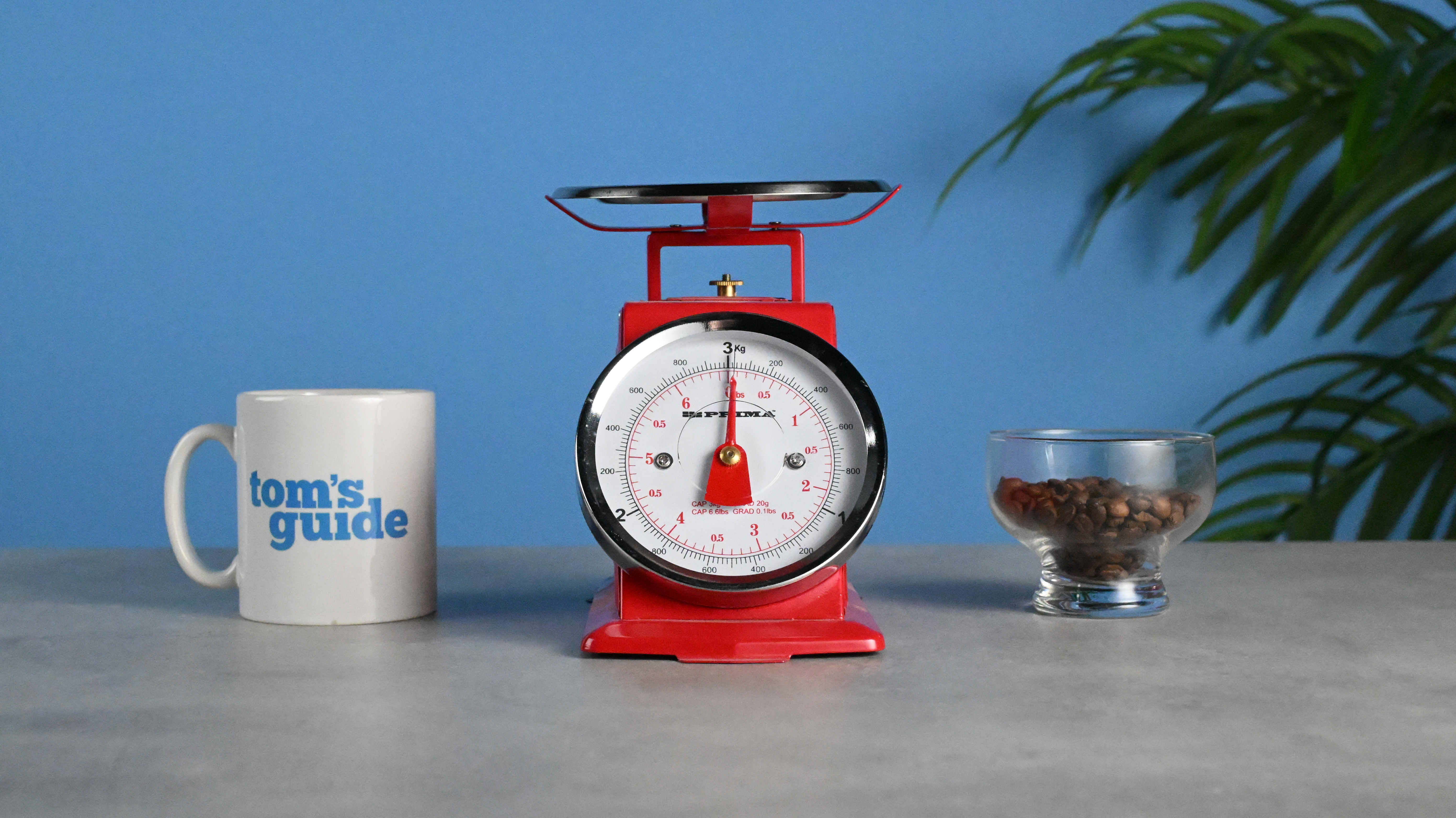 A set of red scales with a mug on the left and a glass of coffee beans on the right. Taken at ISO12800 on the Nikon Z50II.