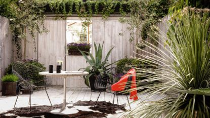 Small garden with grey fence for privacy