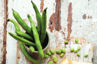 Broad beans in a pot on a textured background