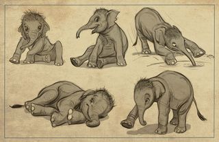 How to draw animals: 14