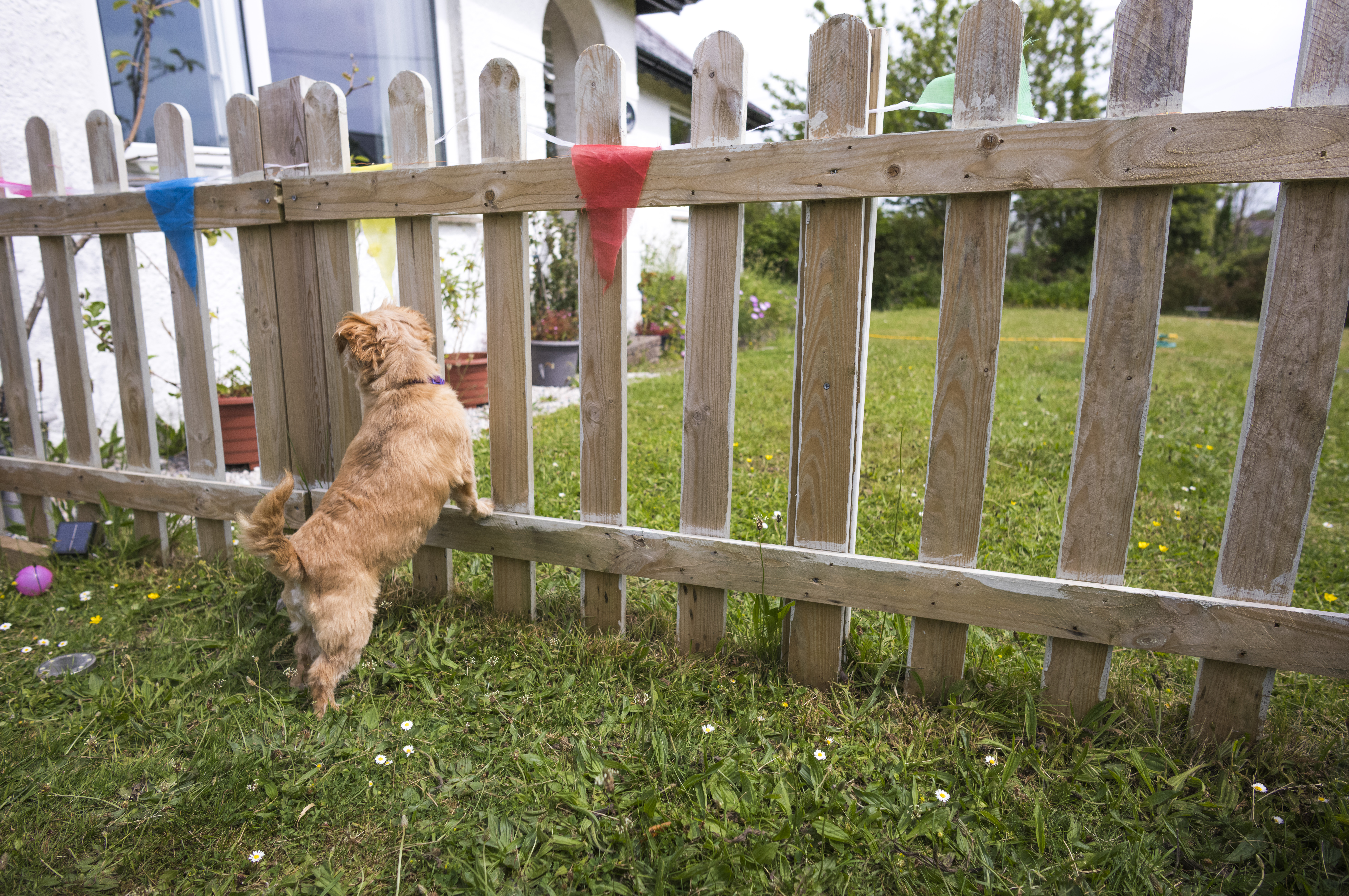 Leica 21mm Summilux-M f/1.4 ASPH image samples