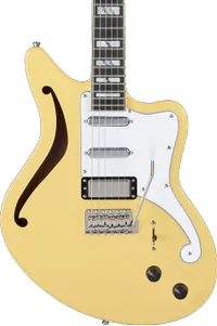 D'Angelico Deluxe Bedford: Was $1,699, now $1,199