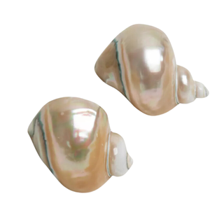 Shell Mother-Of-Pearl Napkin Rings