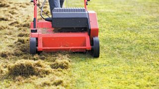 A red electric dethatcher removing thatch from the grass