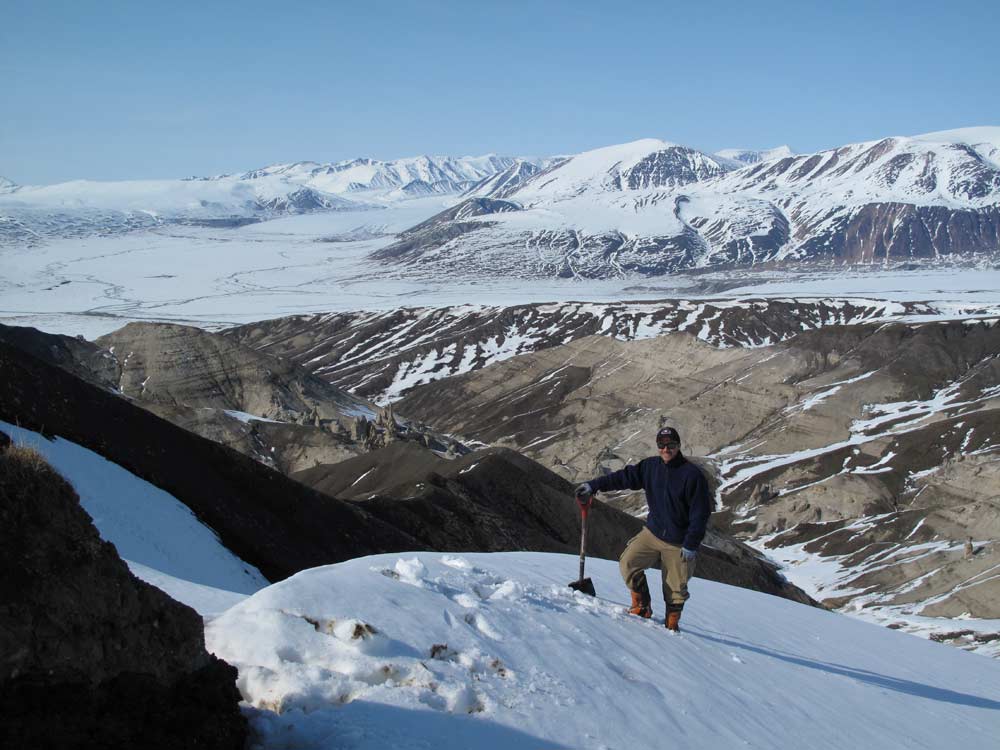on ellesmere island in the arctic one fossil forest