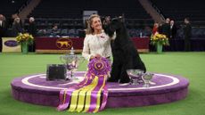 Monty the giant scnhauzer and handler Katie Bernardin after winning best in show at Westminster Kennel Club dog show