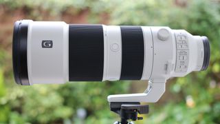 Sony FE 200-600mm lens on a tripod outdoors