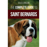 Complete Guide To Saint Bernards | Amazon