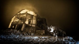 A ghostly black-and-white hyena stands in front of an abandoned, dilapidated building under a dark, ominous sky, creating a mysterious, eerie atmosphere