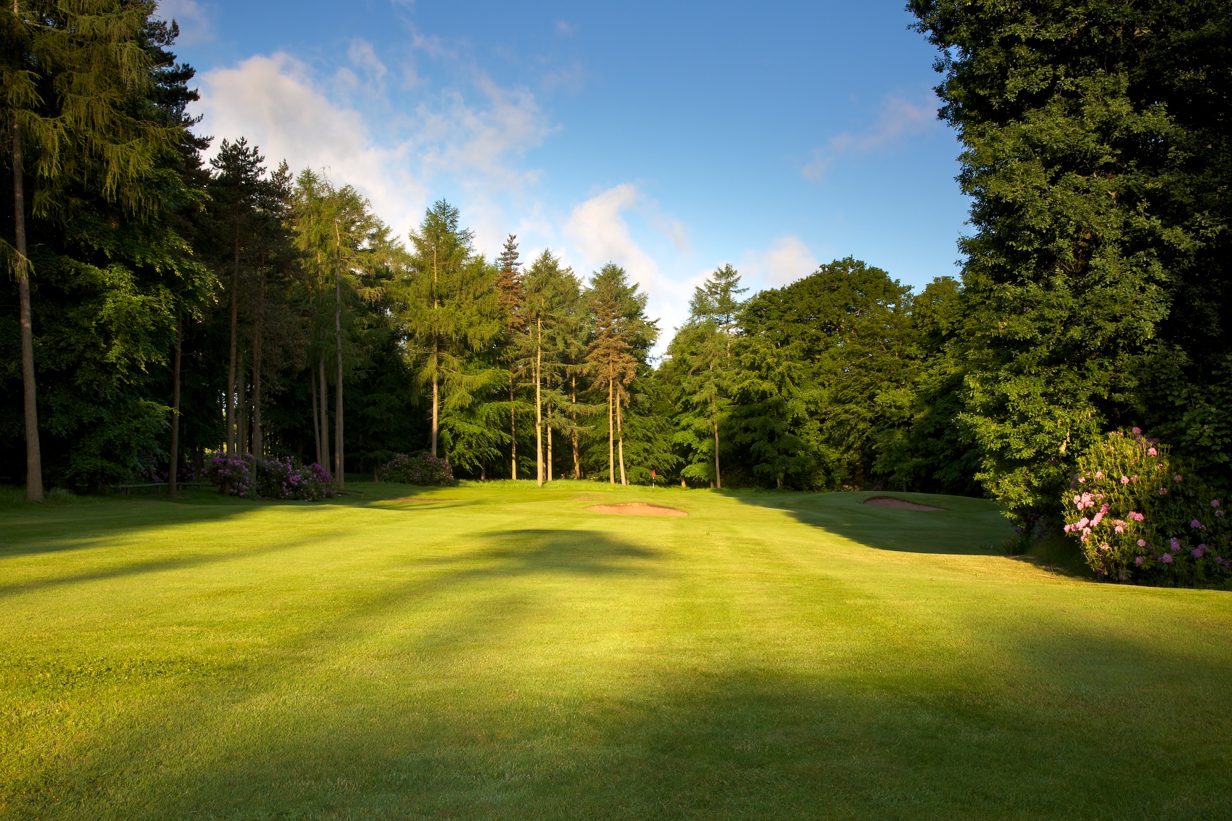 The 14th hole on the Hawtree course at Rudding Park