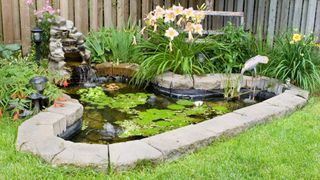 small pond with brick border