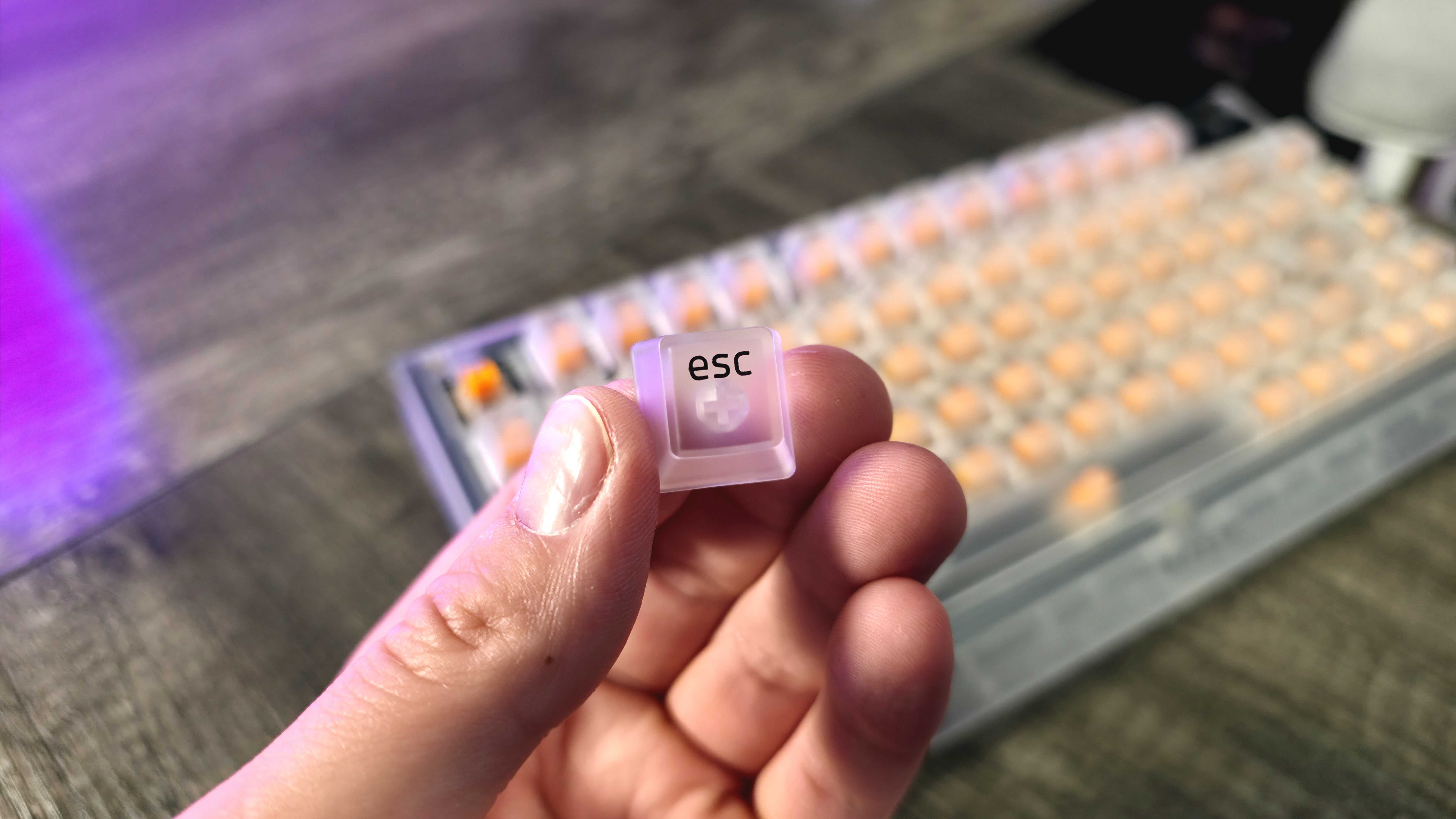 Image of the Razer Phantom White Collection.