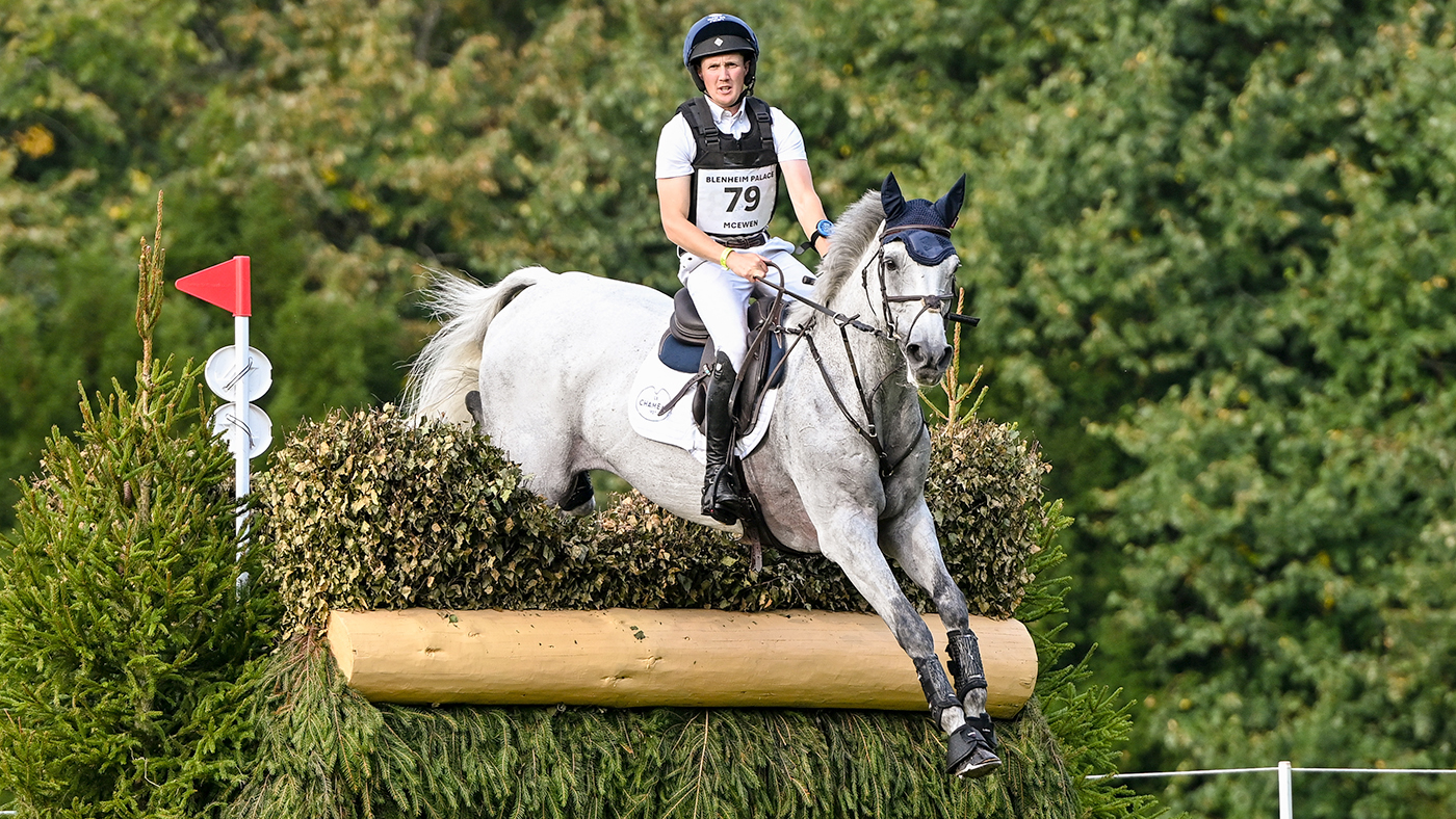 Tom McEwen rides grey mare Isa over a brush fence at Blenheim Horse Trials 2024.