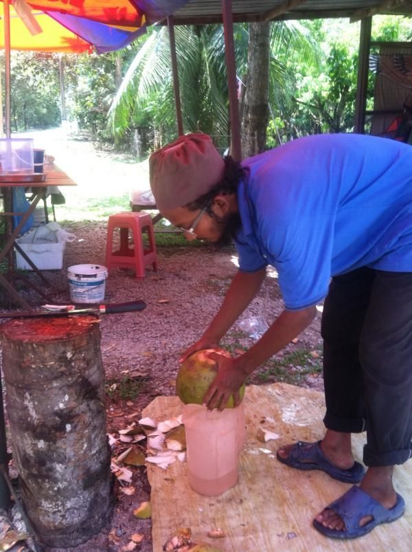 Roadside coconut water slushies
