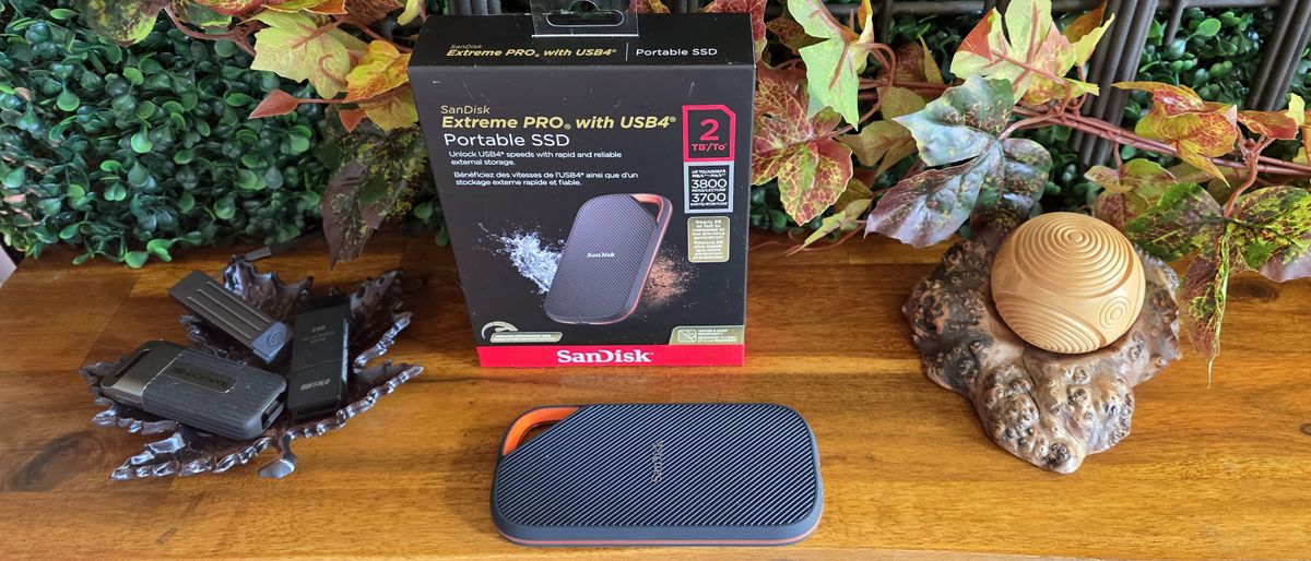 SanDisk Extreme Pro (2TB) review: Bursty USB4 speed, but not great for pros