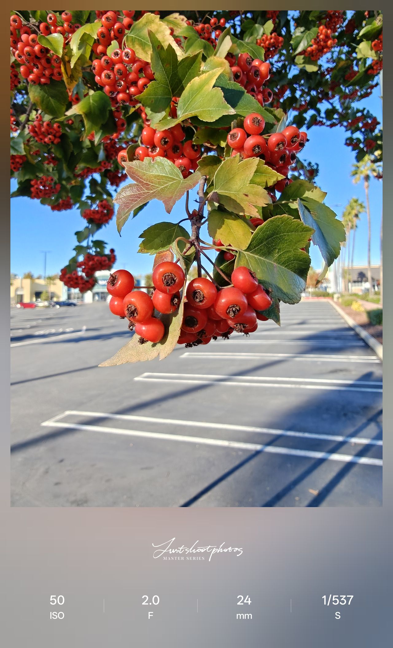 OnePlus 15 camera testing on Android Central