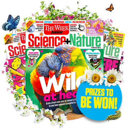 Prizes to be won
