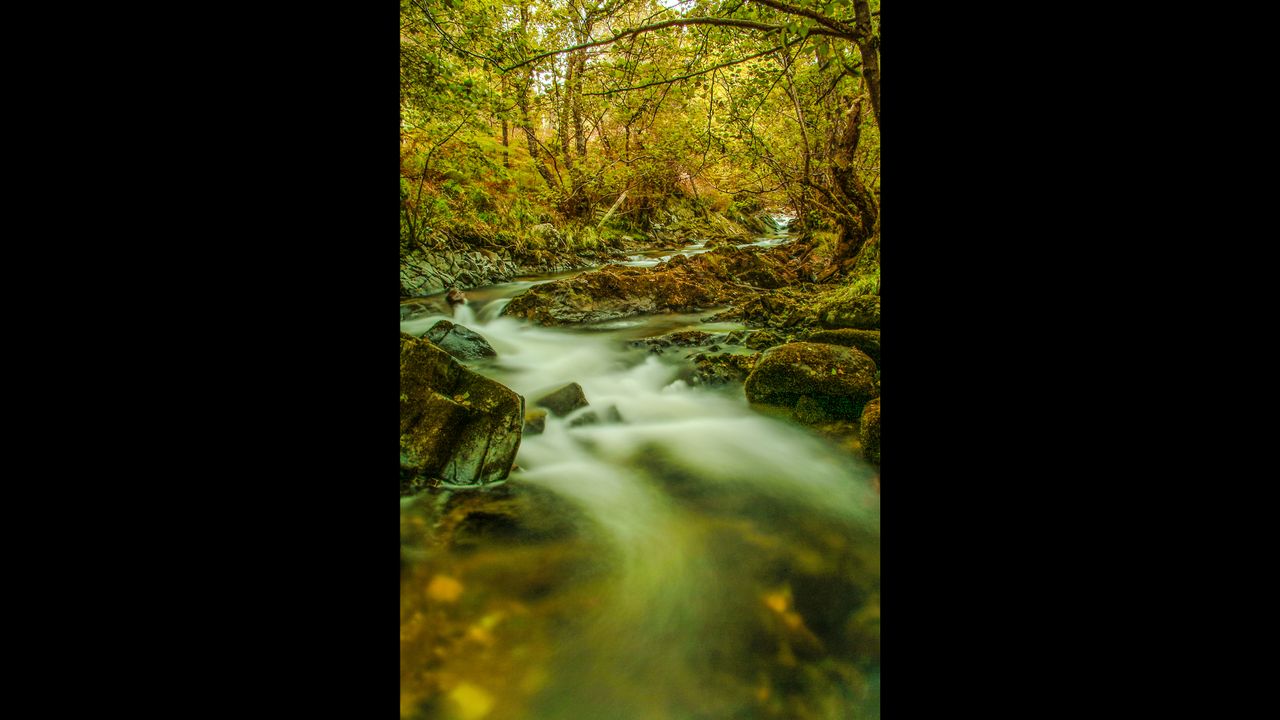 three images of woodland streams, framed by trees