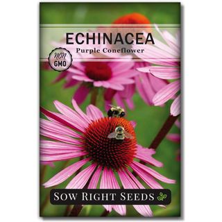 Sow Right Seeds - Purple Coneflower/Echinacea Flower Seeds for Planting