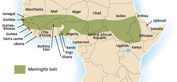 meningitis belt, outbreaks, climate, disease