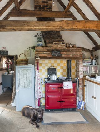 Red aga in kitchen with chocolate lab