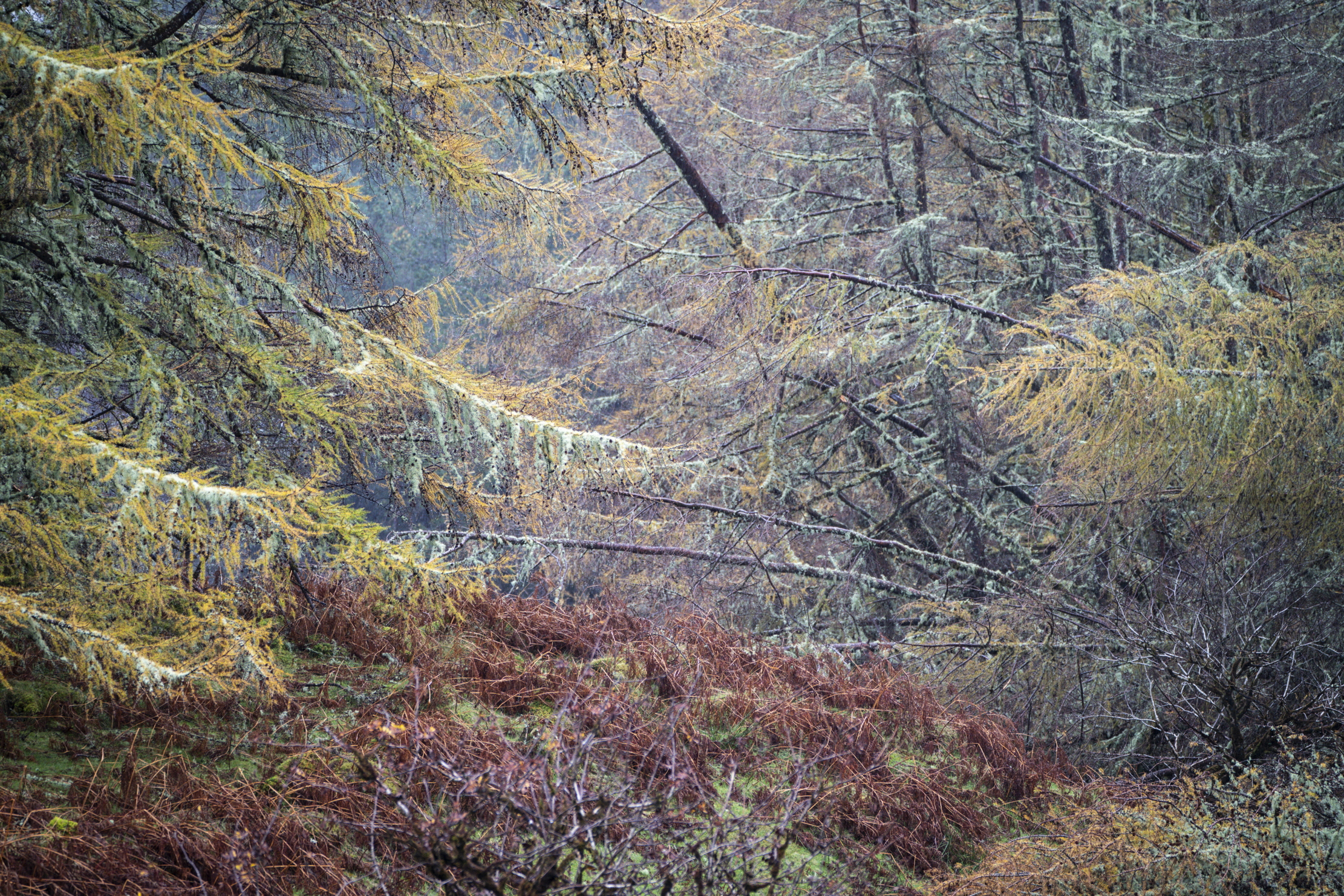 Images of the isle of Skye