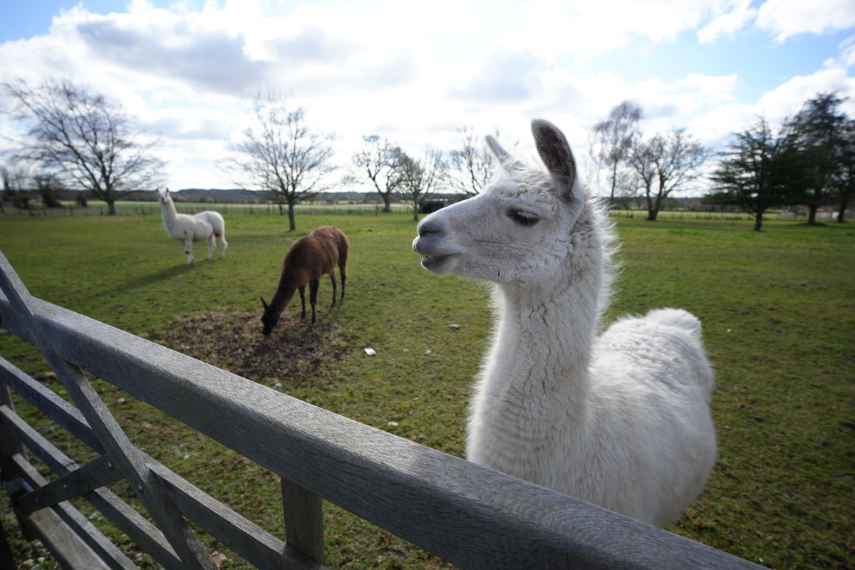 Sample image shot with the Sony FE 16mm F1.8 G lens