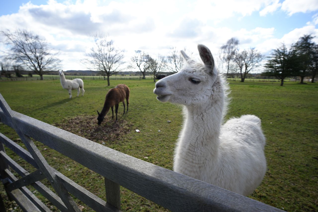 Sample image shot with the Sony FE 16mm F1.8 G lens