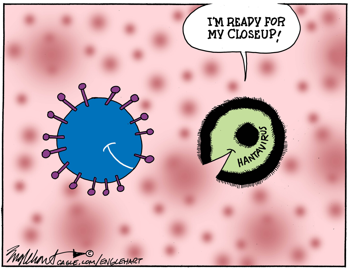 A spiked COVID-19 germ smiles at a hantavirus germ that&amp;rsquo;s also smiling. The hantavirus says,&amp;rdquo;I&amp;rsquo;m ready for my closeup!&amp;rdquo;